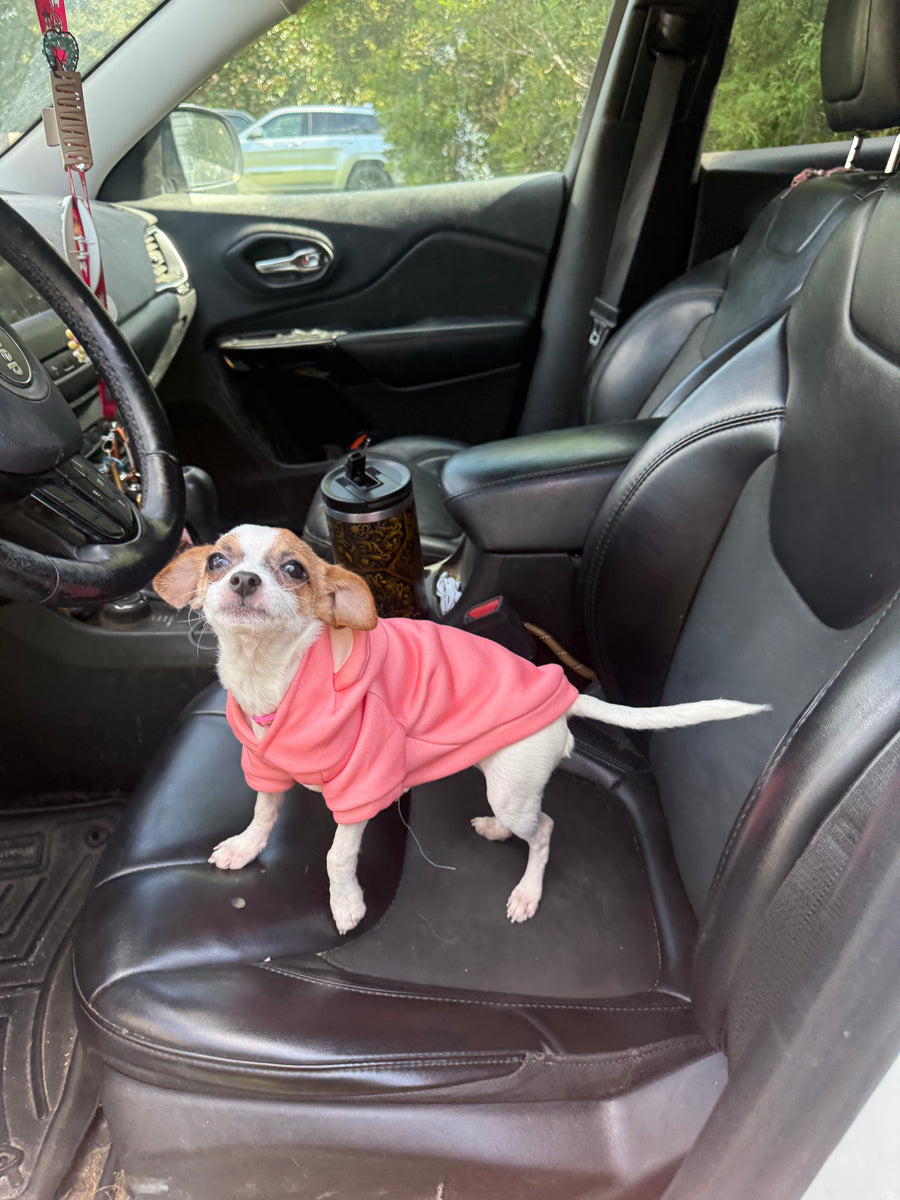Pet Transportation