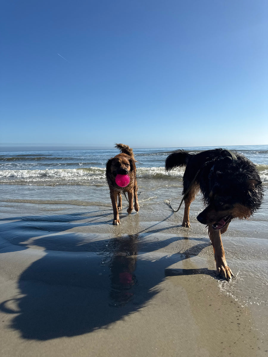 Adventure Walks